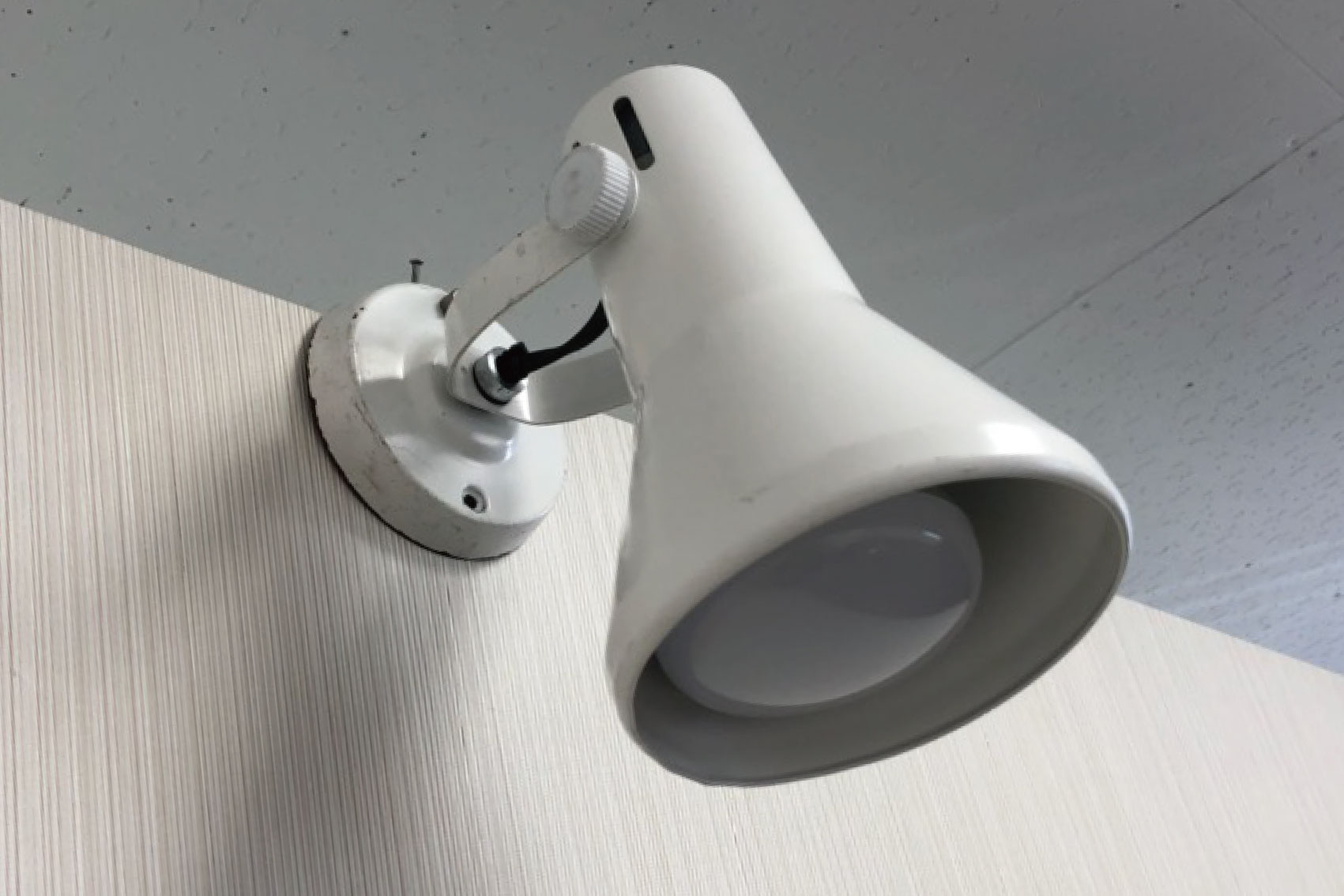 スポット LED（昼白色）